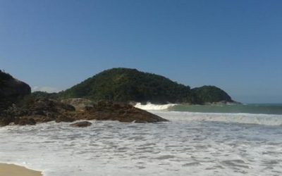 trindade01